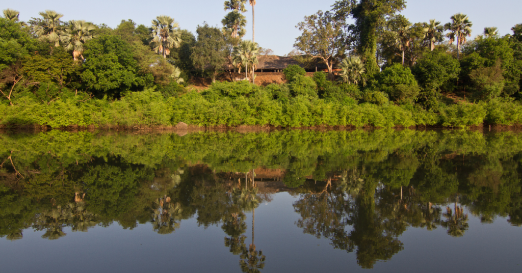 National Parks In Senegal