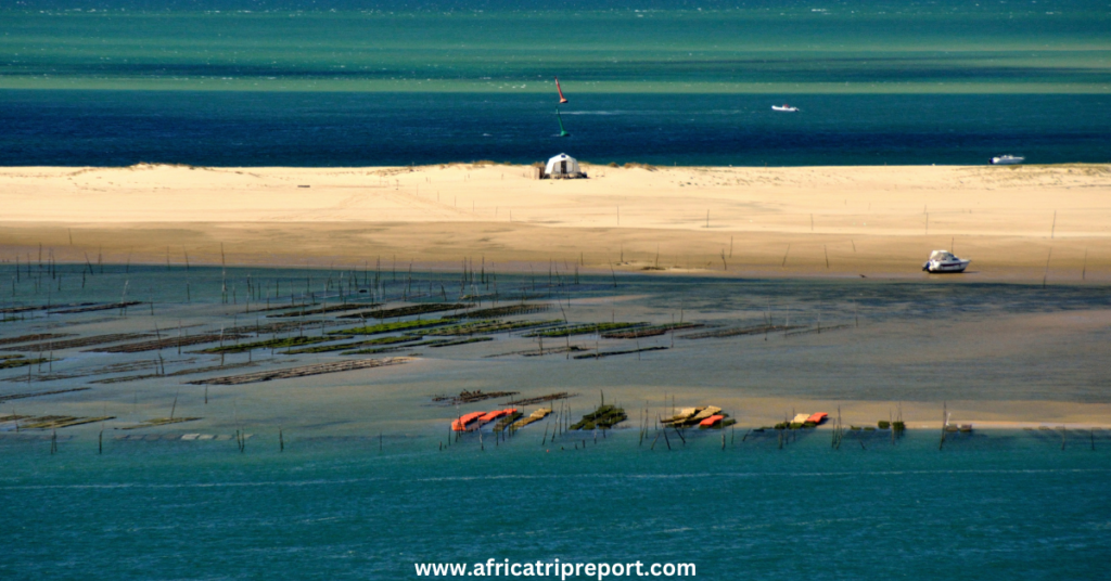 Mauritania's Best Beaches