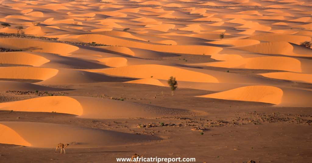mauritania desert